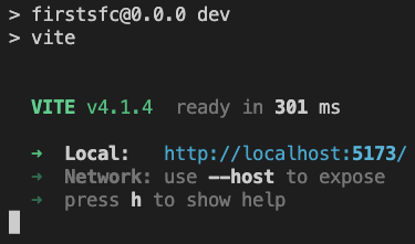 Terminal after npm run dev